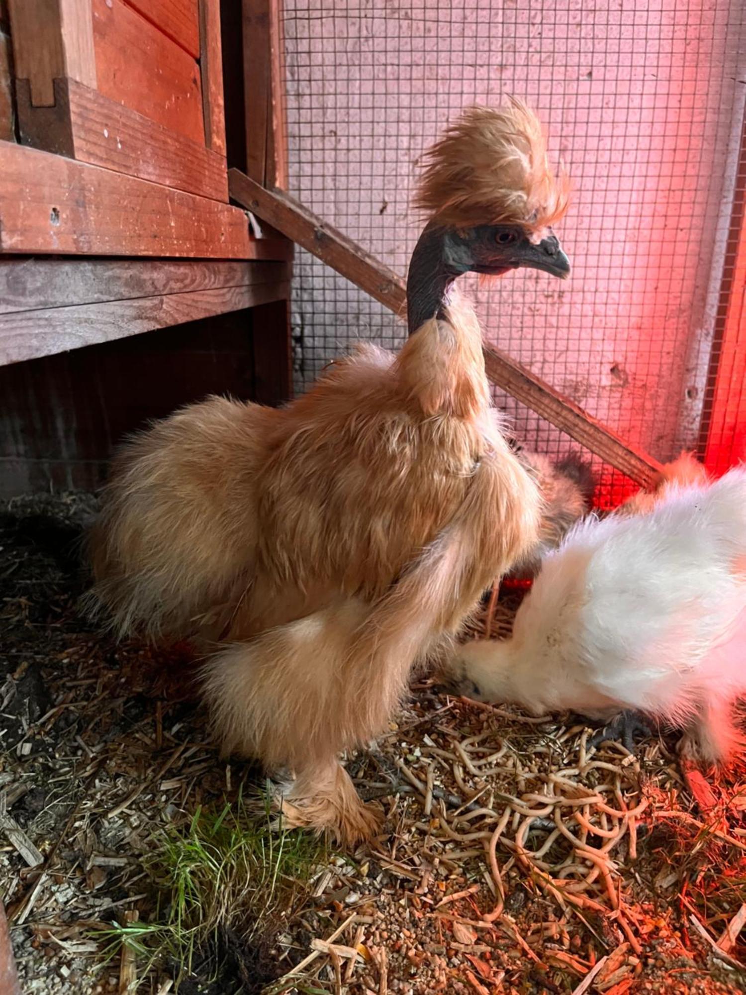 Lokken Farm Holiday المظهر الخارجي الصورة