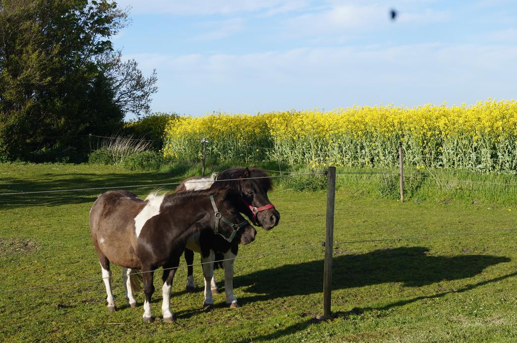 Lokken Farm Holiday الغرفة الصورة