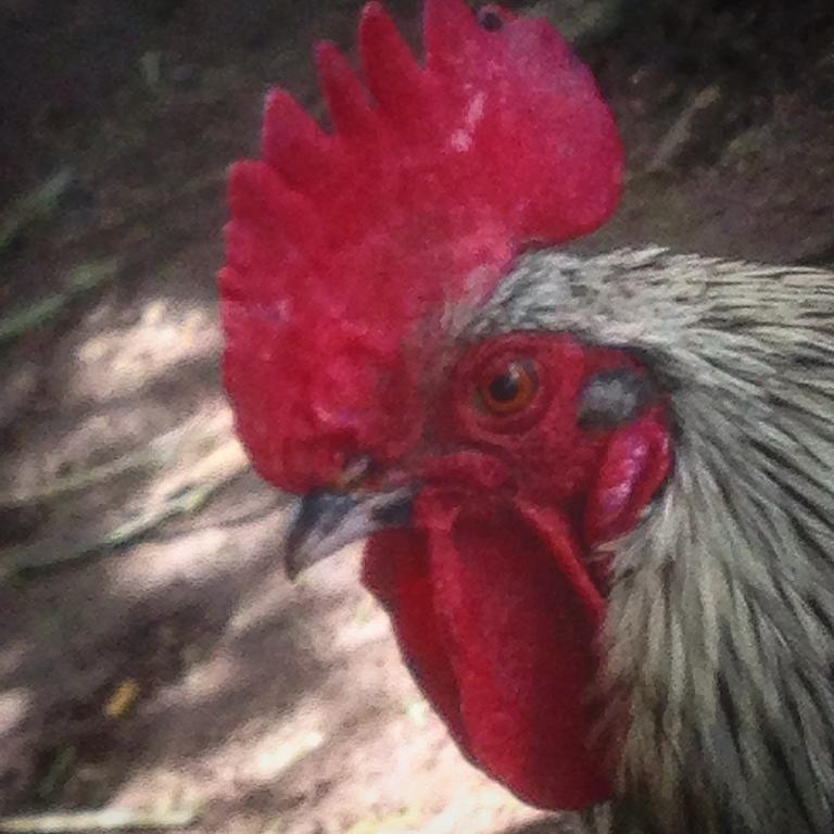 Lokken Farm Holiday المظهر الخارجي الصورة